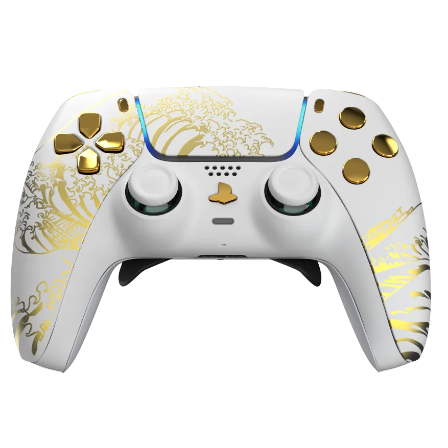Burn Controllers Pro FPS manette PS5 à palettes