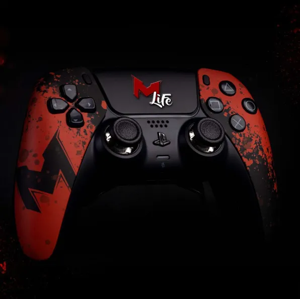 Burn Controllers Evo MrLEV12 manette PS5 palettes