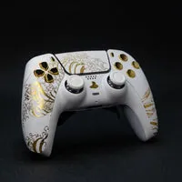 Burn Controllers EVO Basic manette PS5 palettes X-O