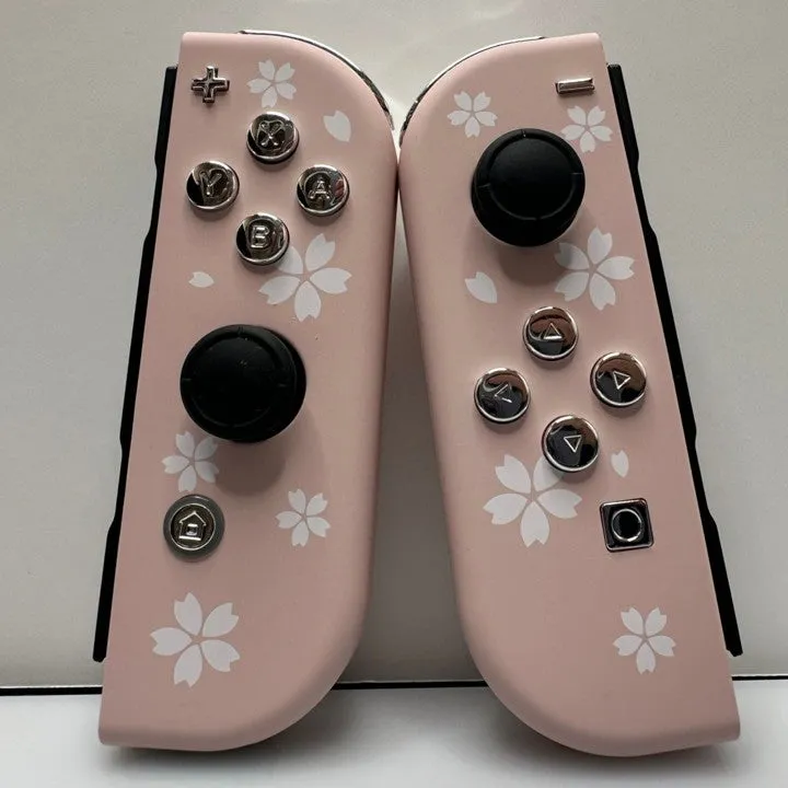 Burn Controllers manette Nintendo Joy Con
