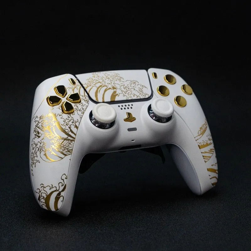 Burn Controllers EVO manette PS5 DualSense à palettes
