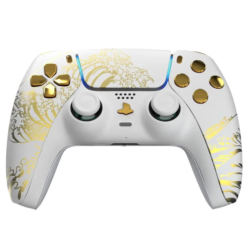 Burn Controllers EVO manette PS5 DualSense à palettes