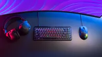 Turtle Beach Pure SEL souris gaming ergonomique