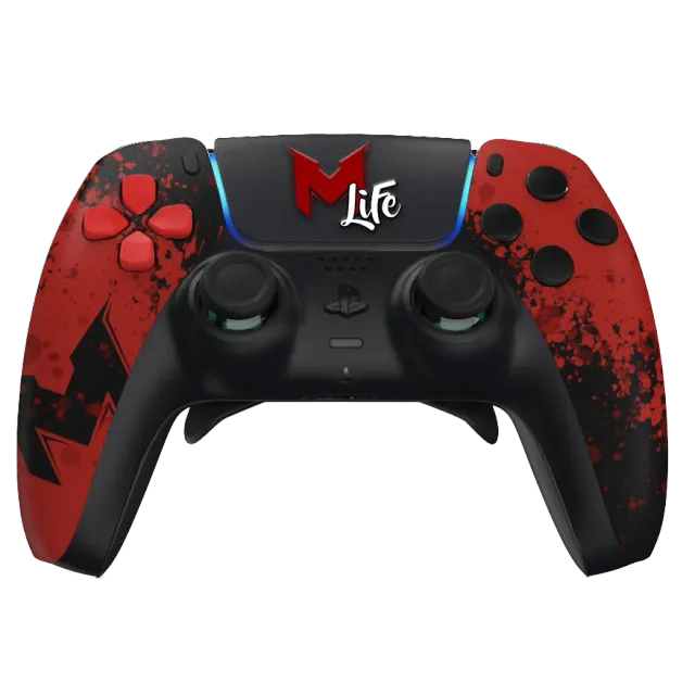 Burn Controllers Evo MrLEV12 manette PS5 palettes