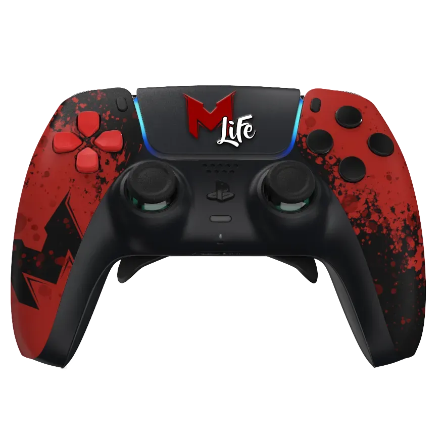 Burn Controllers Evo MrLEV12 manette PS5 palettes
